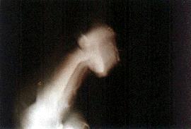 1JdMaster.jpg (6385 bytes)